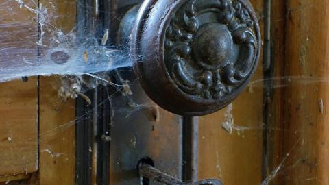 In View June '20 - DSC03078.JPG