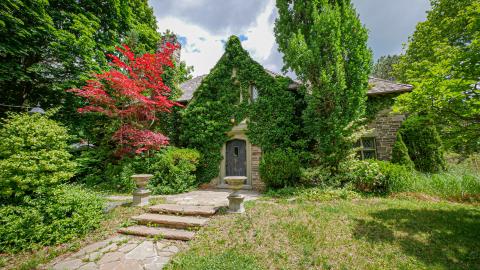 Rolling Stones - BC616FDB-E423-4802-95BD-32DE020CA2FF.jpeg