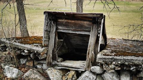 few photos from 2020 more to come - IMG_20200408_160711.jpg