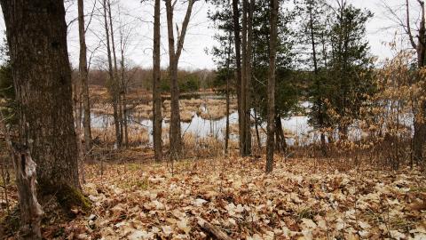 few photos from 2020 more to come - IMG_20200408_161811.jpg