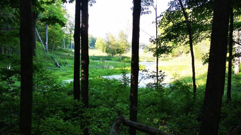 few photos from 2020 more to come - IMG_20200724_172704.jpg