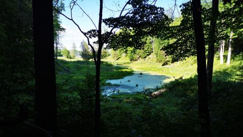 few photos from 2020 more to come - IMG_20200724_172810.jpg