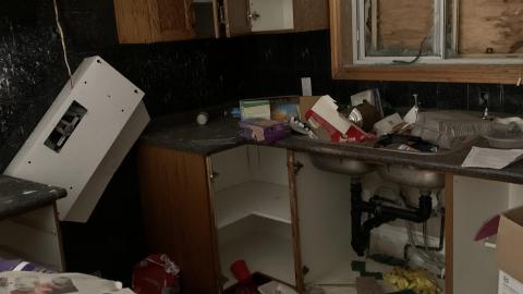 Photo from January 2021