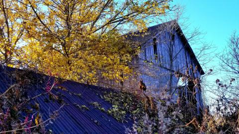 Three-Legged Barn - 20210119_180056.jpg