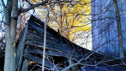 Limping Barn photo 2