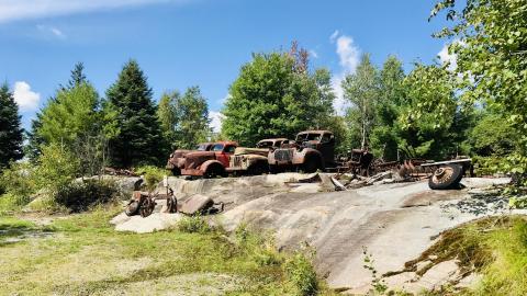 Photo from Larry’s Yard Art