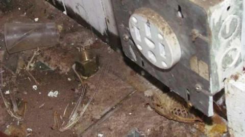 Guelph Line - IMG_2278.jpg