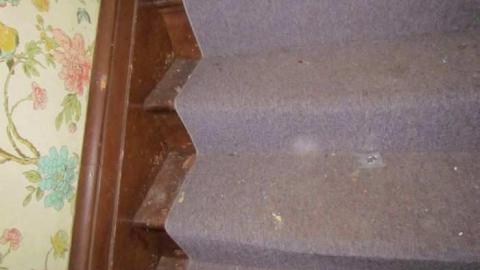 Guelph Line - IMG_2280.jpg