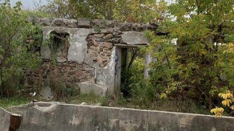 Photo from Went 4 a stroll