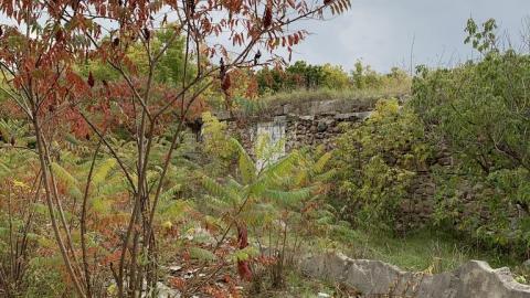 Photo from Went 4 a stroll