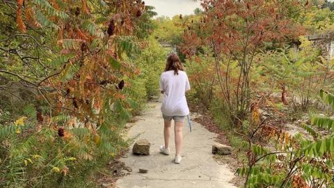 Went 4 a stroll - 8DAC4011-CA88-4CDB-9C81-42967BABE0F0_1_105_c.jpeg