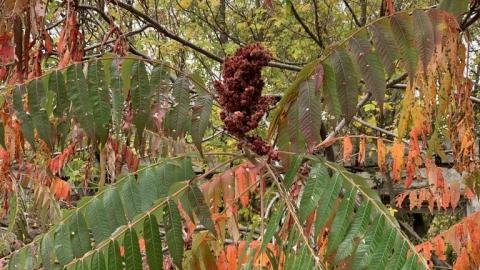 Photo from Went 4 a stroll