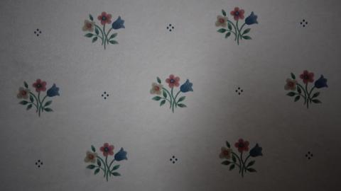 There Are Many Like It... - IMG_6763.JPG