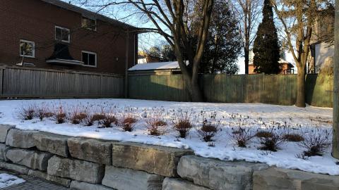 Photo from Nursery is now a Green P