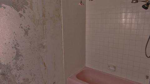 Winter 2020 - IMG_6942.JPG