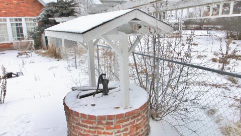 Winter 2020 - IMG_6974.JPG