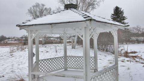 Winter 2020 - IMG_6978.JPG