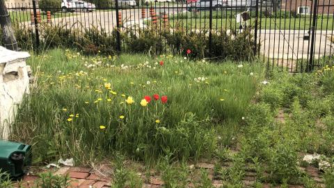 Photo from Summer 2020