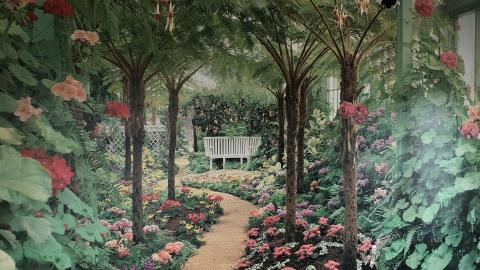 Summer 2020 - t_878.jpg