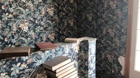 Summer 2020 - t_874.jpg