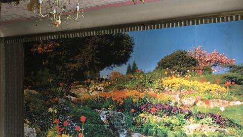 Summer 2020 - t_858.jpg