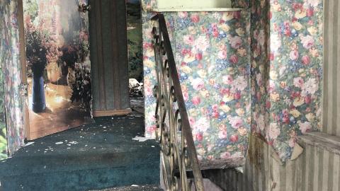 Photo from Summer 2020