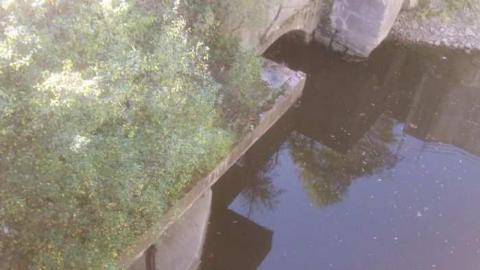 The Haven- vertical reality photo 3