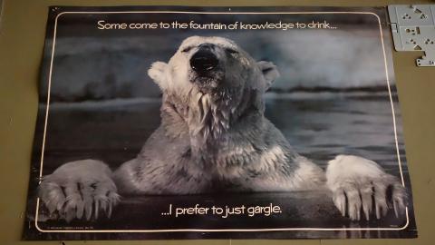 Wallingham Jan '21 - DSC00644.JPG