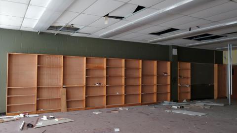 Wallingham Jan '21 - DSC00679.JPG