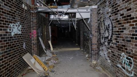 Wallingham Jan '21 - DSC00706.JPG