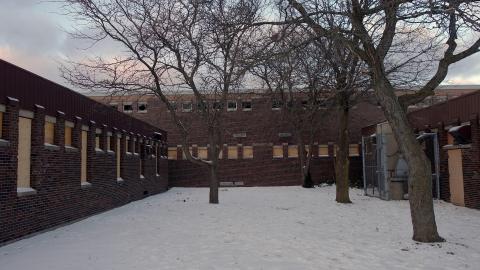 Wallingham Jan '21 - DSC00740.JPG