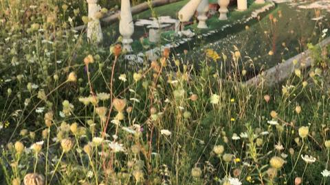 Shanty Bay Go-Karts photo 4