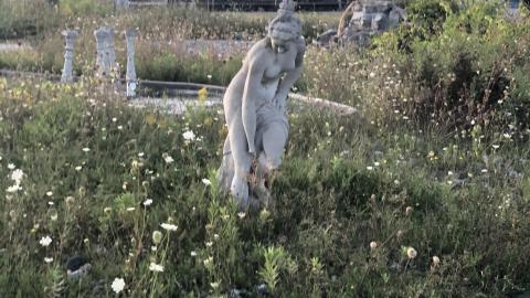 August 2020 - t_1926.jpg