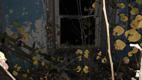 Free Grapes on Floor 2 - IMG_9209.jpg