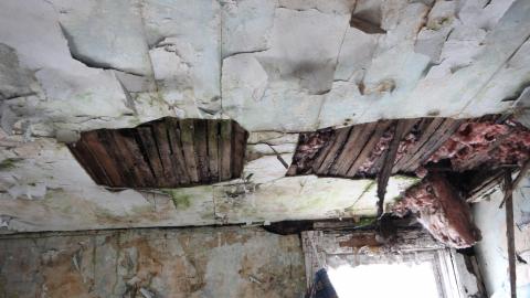 The TWICE Fire Victim Tha Day After.. - IMG_7016.JPG