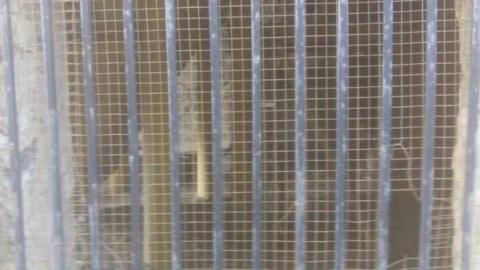 E.B. Eddy Digestor Tower- Hull photo 3