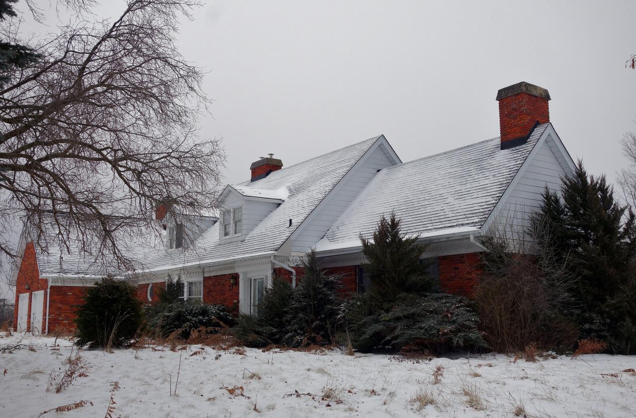 Country Manor Jan '20 - DSC00145.JPG