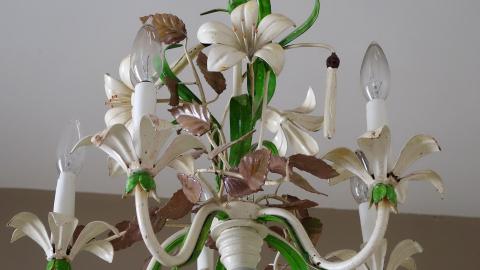 Country Manor Jan '20 - DSC00154.JPG