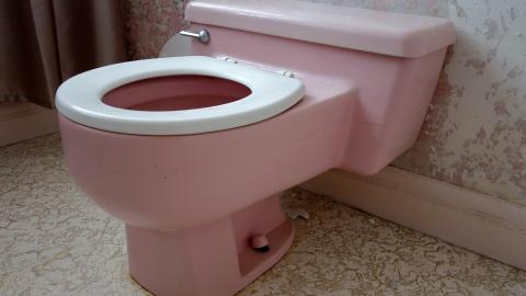 Country Manor Jan '20 - DSC00225.JPG