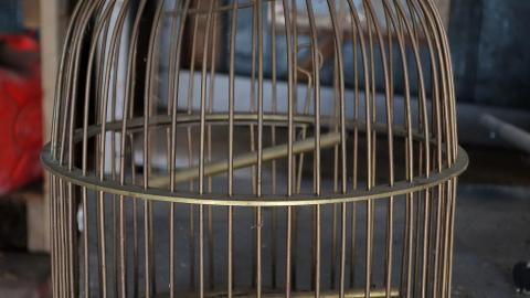 Country Manor Jan '20 - DSC00349.JPG