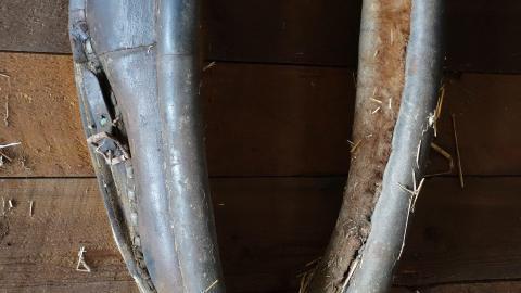 Country Manor Jan '20 - DSC00351.JPG