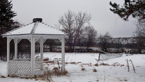 Country Manor Jan '20 - DSC00367.JPG