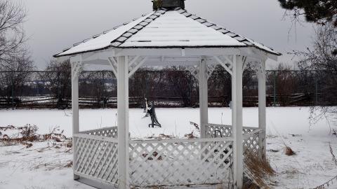 Country Manor Jan '20 - DSC00369.JPG