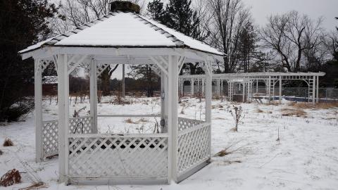 Country Manor Jan '20 - DSC00374.JPG