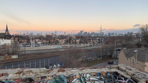 Dec 2020-Jan 2021 Got onto the roof - IMG_1519.jpg