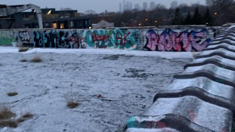 Dec 2020-Jan 2021 Got onto the roof - IMG_1766.jpg