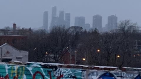 Dec 2020-Jan 2021 Got onto the roof - IMG_1767.jpg