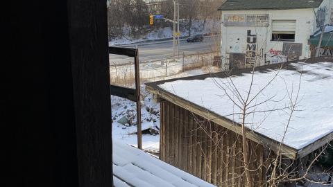 Jan 2021 - IMG_1935.jpg