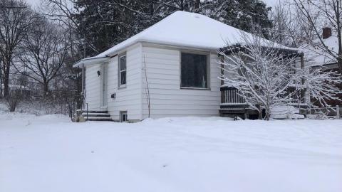 through the seasons - IMG_8163.jpg