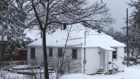 through the seasons - IMG_8162.jpg